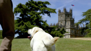 The first scene of Downton Abbey - dog butt. Unchanged although the dog this butt belongs to died in season 5.