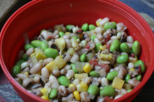 Pretty OK bean salad