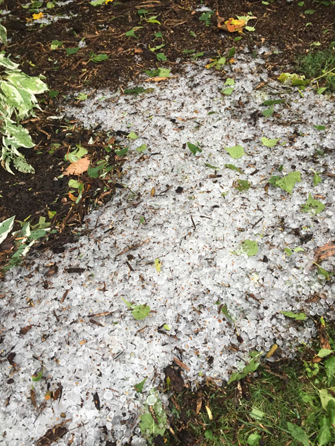 Hail snowdrift in my yard