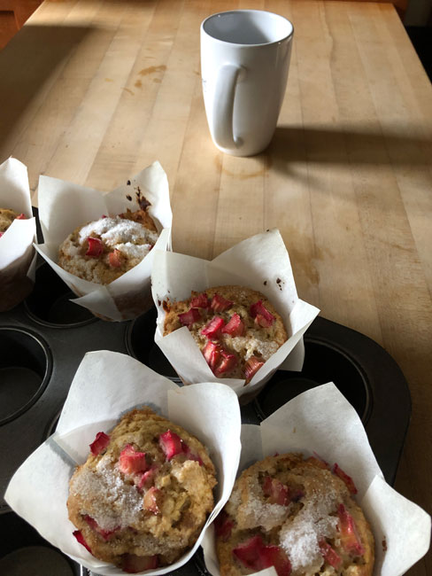 rhubarb muffins