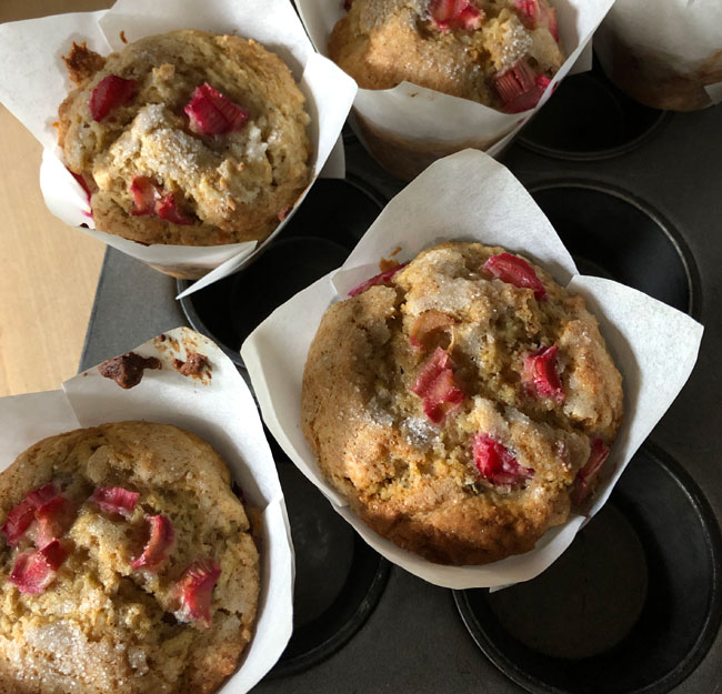 rhubarb muffins